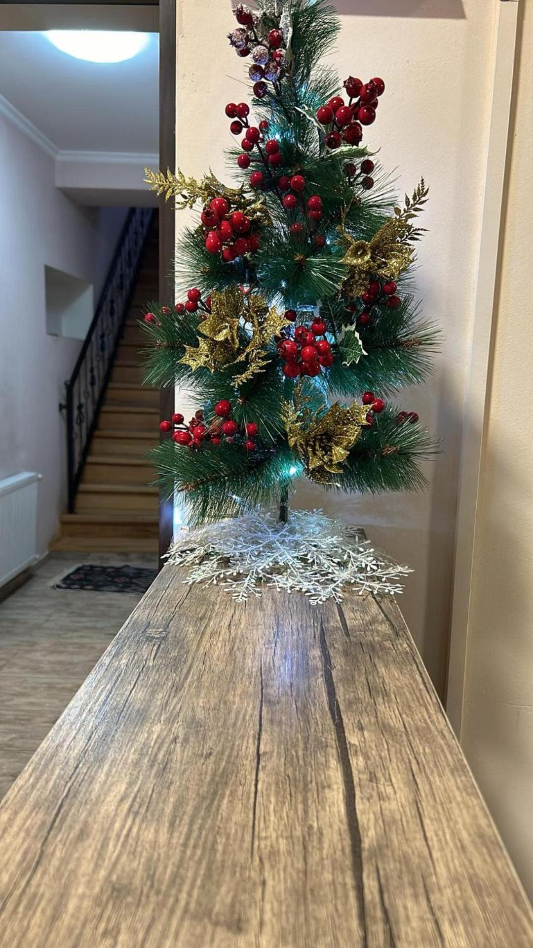Hotel Svanseti Mestia Zewnętrze zdjęcie
